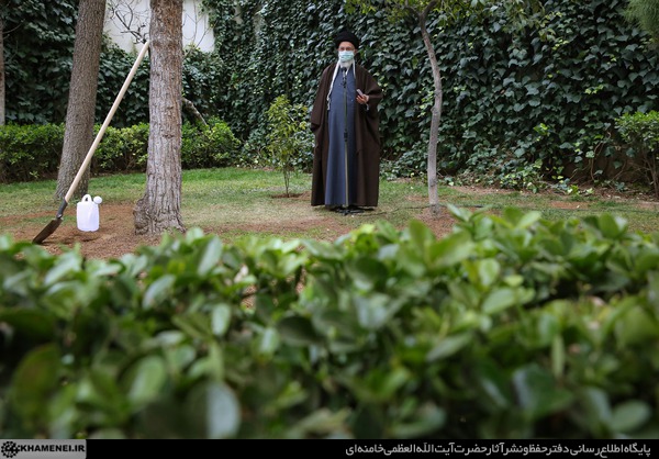 شارك سماحة  الامام الخامنئي اليوم الجمعة في فعاليات يوم الشجرة بغرس شتلتين في حديقة مكتبه.