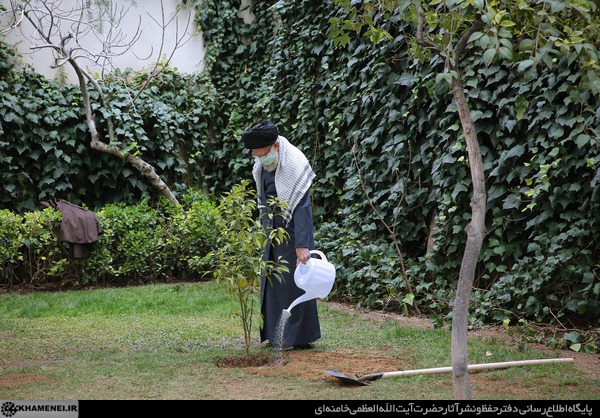 الإمام الخامنئي يغرس شتلتين لأشجار مثمرة في يوم الشّجرة  