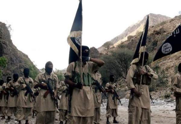 "Qaeda terrorists fighting alongside Saudi-backed militants in Ma