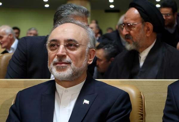 رئيس منظمة الطاقة الذرية الإيرانية، علي أكبر صالحي