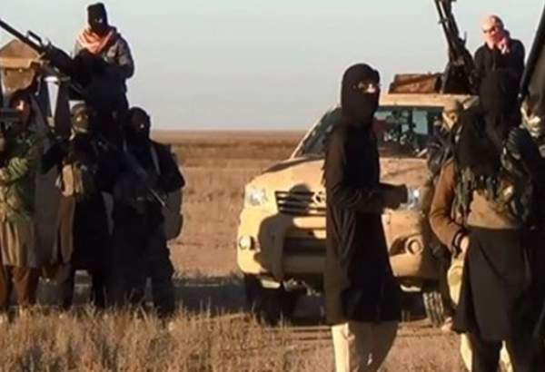 11 تروریست داعشی از سوی نیروهای امنیتی عراق دستگیر شدند