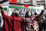People in Brussels protested against Israeli attacks against al-Aqsa Mosque, Gaza Strip (photo)  