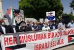 Anti-Zionism protest held in Igdir, Turkey (photo)  