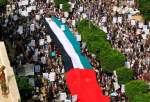 Yemenis voice solidarity with Palestinians in massive rally (photo)  