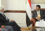 انصارالله از تلاش‌ها برای آتش‌بس در یمن استقبال کرد