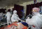 جان باختن 134 نفر از مبتلایان ویروس کرونا در شبانه روز گذشته
