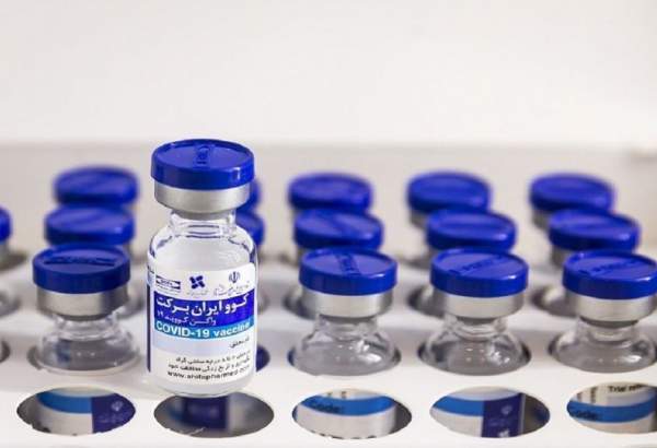 انتشار خلاصه یافته‌های مطالعات واکسن کووایران برکت