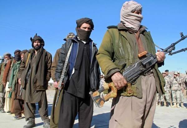 طالبان نےصوبے ارزگان کا شہر چورہ بھی سقوط کر لیا