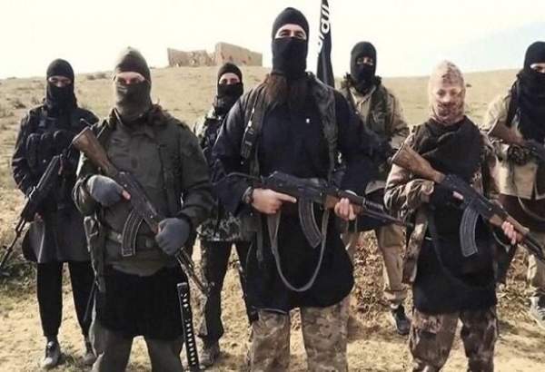 هشدار درباره بازگشت داعشی ها به دیاله عراق