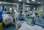 وضعیت نگران کننده هرمزگان به دلیل افزایش فوت بیماران کرونایی