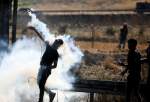 ۵۱ فلسطینی در درگیری با نظامیان صهیونیست زخمی شدند