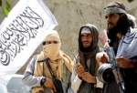 التليغراف: طالبان تحتفظ بصلات وثيقة مع القاعدة وداعش