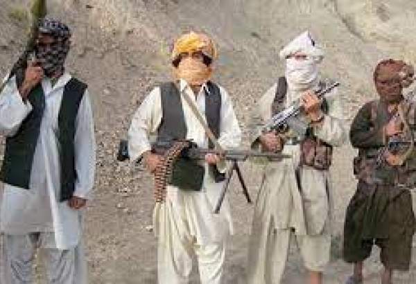 طالبان نے امریکی مترجم کو ہلاک کردیا