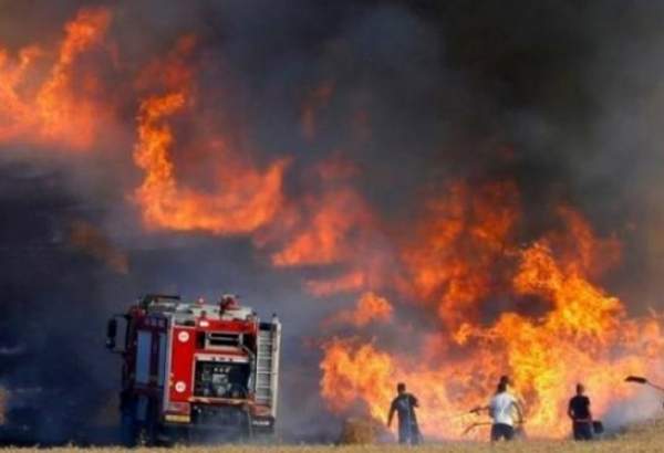چهار آتش‌سوزی در شهرک‌های صهیونیستی اطراف غزه