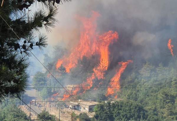 مناطق شمالی لبنان در آتش می سوزد