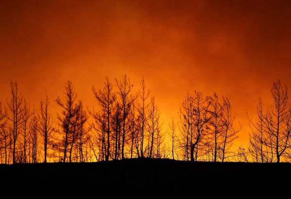 ترکی کے علاقے انطالیہ کے جنگلات میں لگی، آگ کے باعث 3 افراد ہلاک