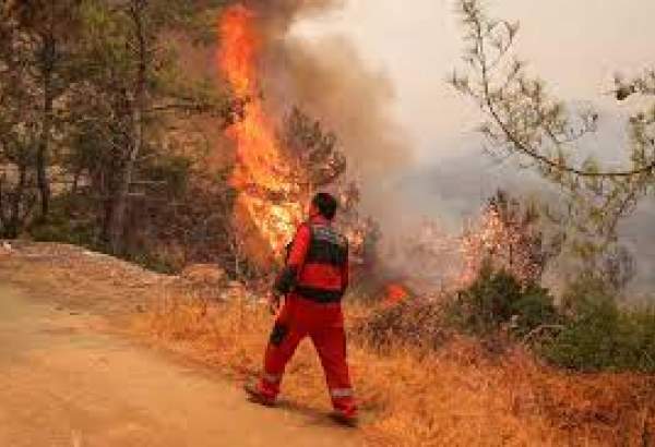 Le bilan des feux de forêt en Turquie s