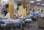شناسایی 31516 بیمار مبتلا به کرونا در کشور