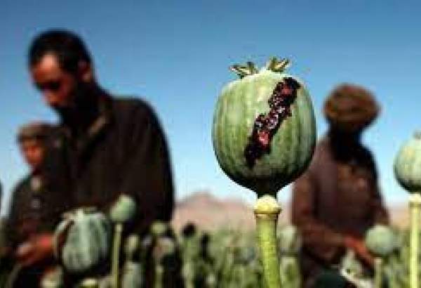 افغانستان سے منشیات کی اسمگلنگ کے تمام راستے بند