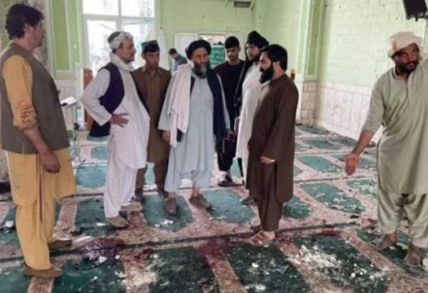 علماء الشيعة في أفغانستان: داعش الارهابي يسعى لإشعال حرب طائفية