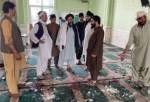 علماء الشيعة في أفغانستان: داعش الارهابي يسعى لإشعال حرب طائفية