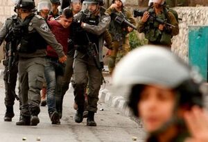 بازداشت ۸ فلسطینی توسط نظامیان صهیونیست