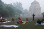 Schools closed as smog blankets India (photo)  