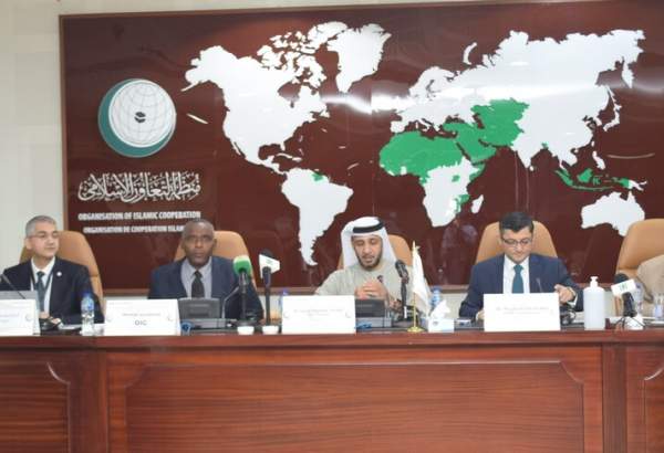 OIC stresses protection of Human Rights as a major priority