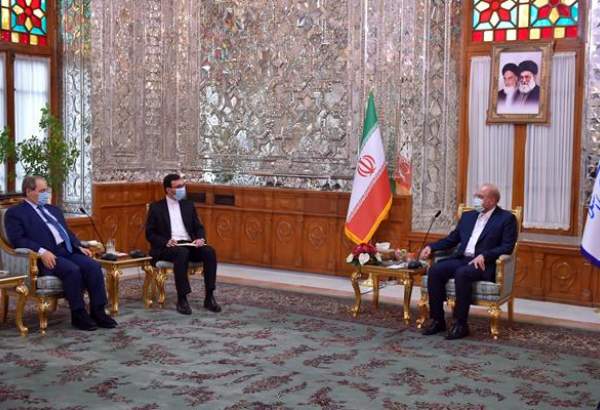 تاکید رئیس مجلس بر لزوم حمایت از بخش‌های خصوصی ایران و سوریه