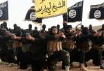 Al-Azhar warns of new strategy by Daesh for terrorist attacks