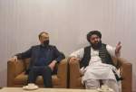 Iran FM, Taliban acting FM meet in Islamabad