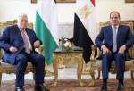 محمود عباس و السیسی آخرین تحولات فلسطین را بررسی کردند