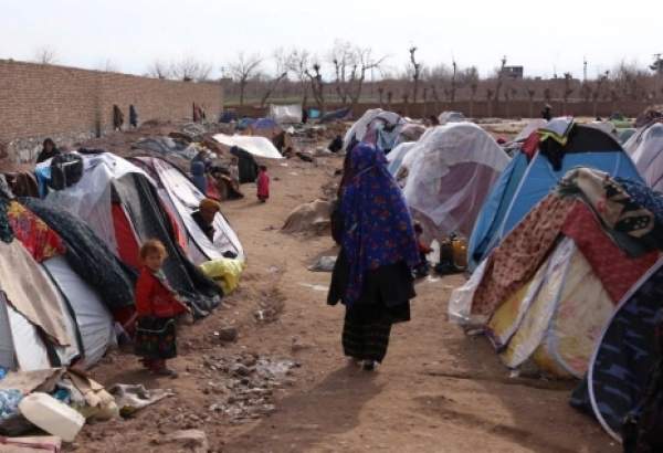 Displaced Afghans live in desperate situation in Herat 1 (photo)  