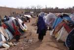 Displaced Afghans live in desperate situation in Herat 1 (photo)  