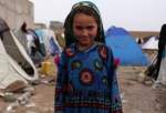 Displaced Afghans live in desperate situation in Herat 2 (photo)  