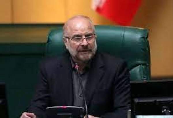 Parl. Speaker says Iran diplomacy opened new window