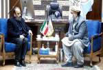 Taliban pursues expansion of cooperation with Iran