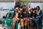 طالبان: احدی حق بی‌احترامی به شیعیان در افغانستان را ندارد
