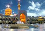Foreign pilgrims receive distance services from Imam Reza holy shrine