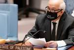 Palestine’s UN envoy slams Israeli apartheid, calls for UNSC action