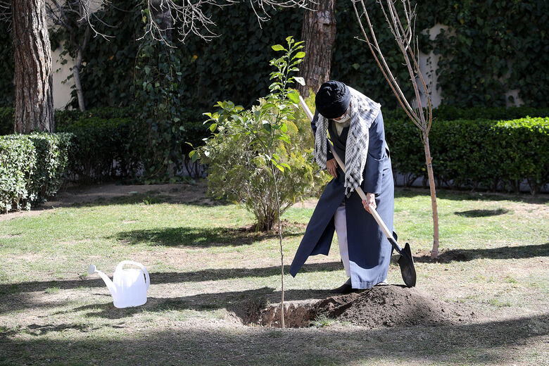 قائد الثورة الاسلامية يغرس شتلة بمناسبة يوم الشجرة  