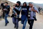 Israeli forces attacked Palestinian journalists over 260 times last year