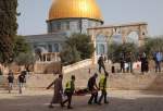 19 Palestinians injured in Israeli settlers