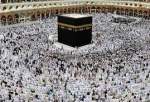 Senior official: Iran will dispatch 40,000 to Hajj pilgrimage