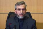 علی باقری: تعامل همسایگی سیاست راهبردی ایران است
