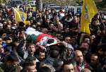 Palestine calls on int’l bodies to end  extra-judicial killings by Israeli regime