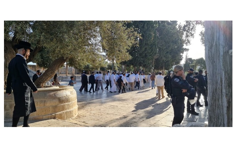 المستوطنون يقتحمون المسجد الأقصى وسط حراسة مشددة  