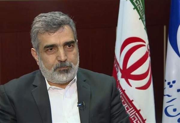 Tehran calls on IAEA to avoid politicizing Iran’s nuclear talks