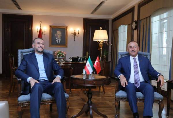 Iran hails Turkey’s unwavering support for Palestine