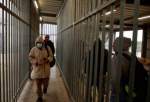 ابتلای گسترده اسرای فلسطینی زندان النقب به ویروس کرونا